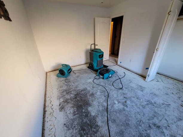 Best Fire Damage Restoration  in Innsbrook, VA