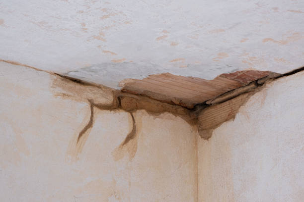 Best Mold removal after water damage  in Innsbrook, VA
