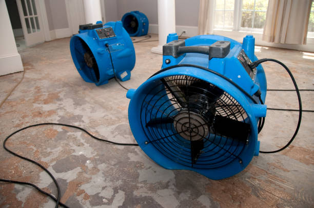 Best Water damage contractors near me  in Innsbrook, VA