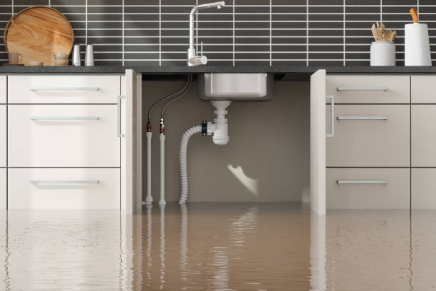 Best Flood restoration services  in Innsbrook, VA