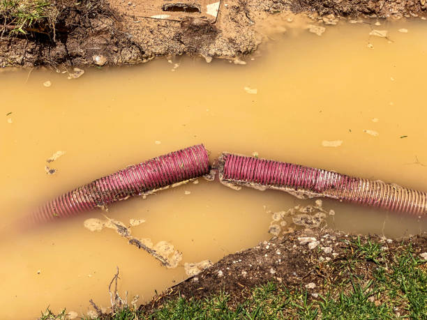 Best Water damage restoration services  in Innsbrook, VA